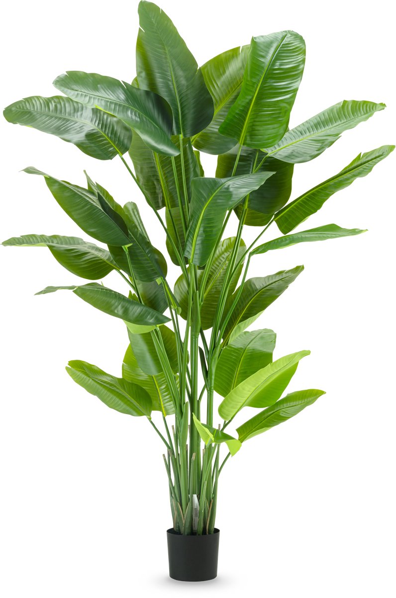 Easyplants | Kunstplant Strelitzia Real Touch Deluxe 210 cm | Zijde | Strelitzia | Groen