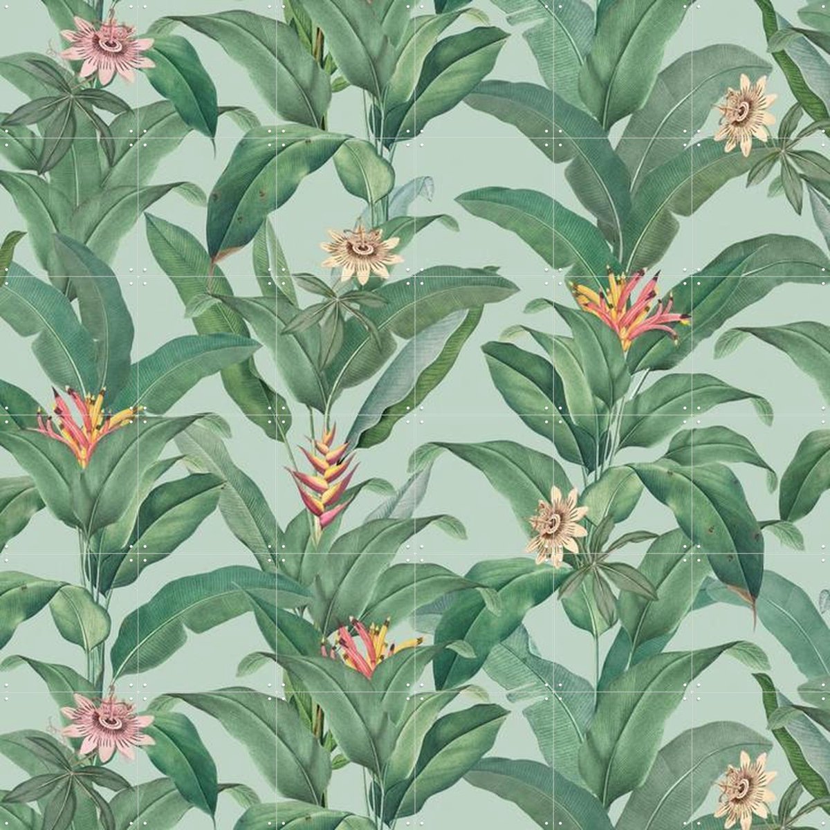 IXXI Tropical Jungle Climbing Leaves and passiflora flowers - mint, Bloomery Decor - 120 x 120 cm - Gratis ophangtool - Grote wanddecoratie en posters