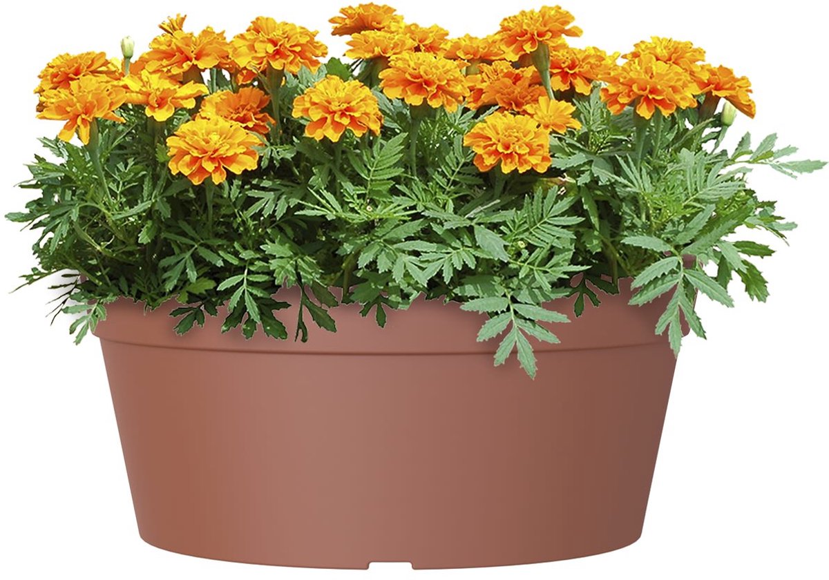 artevasi Madagaskar schaal terracotta 34 cm - kunststof