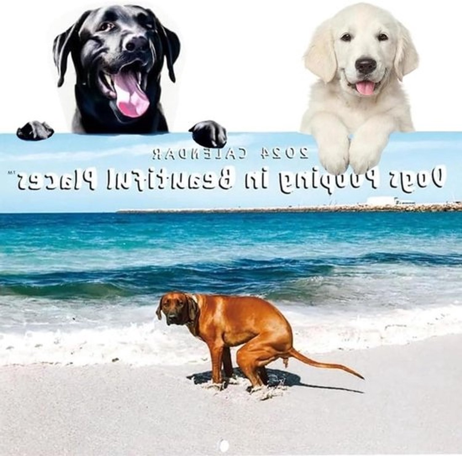 Kalender Hond Poepen - Grappige Muurkalender - Jaar Planning - Uniek Cadeau-idee - 216 x 279 cm - Meerdere Kleuren