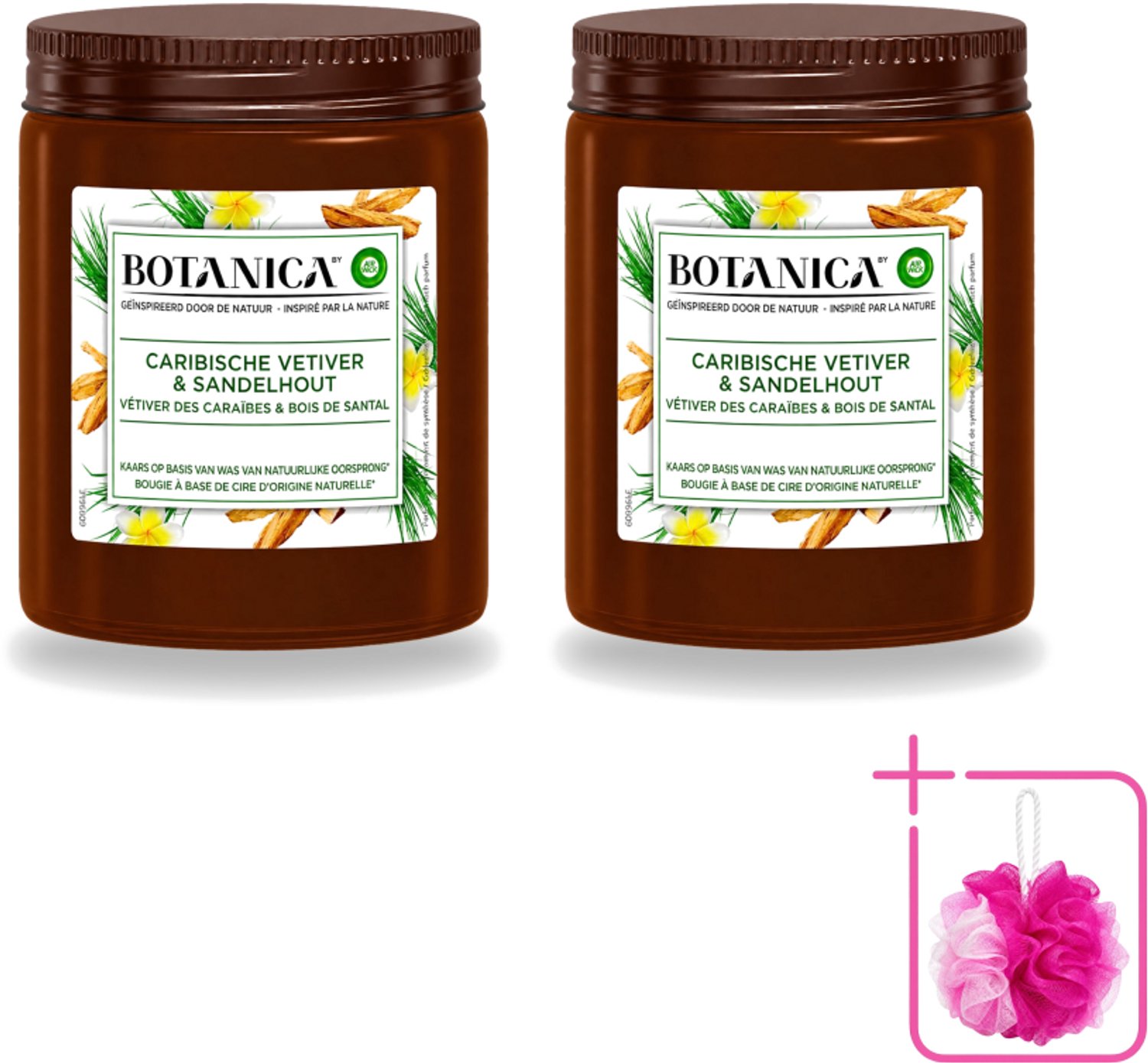 Air Wick 2 x Botanica by Air Wick - Geurkaars - Vetiver & Sandelhout - 40 Uur Brandduur - Bulkverpakking - Geurkaars vetiver sandelhout - Douchemop - Vetiver geur Bruin