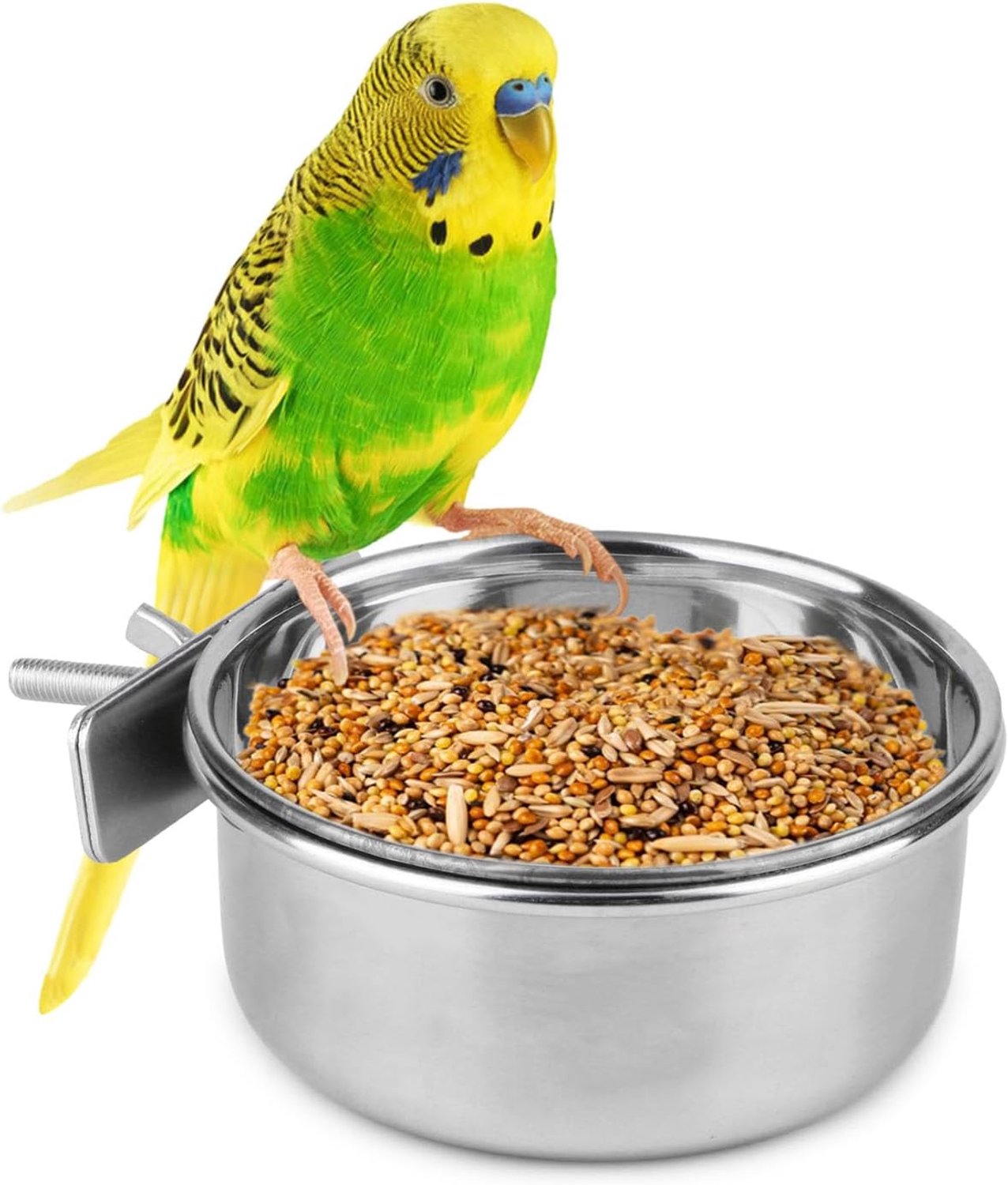 Hypeety huisdier vogel voedsel voeden en drinken opknoping beker klem houder roestvrij staal opknoping kom voor papegaai Macaw Afrikaanse grijzen Budgies Parakeet Cockatiels Conure Lovebirds Finch duif kooi
