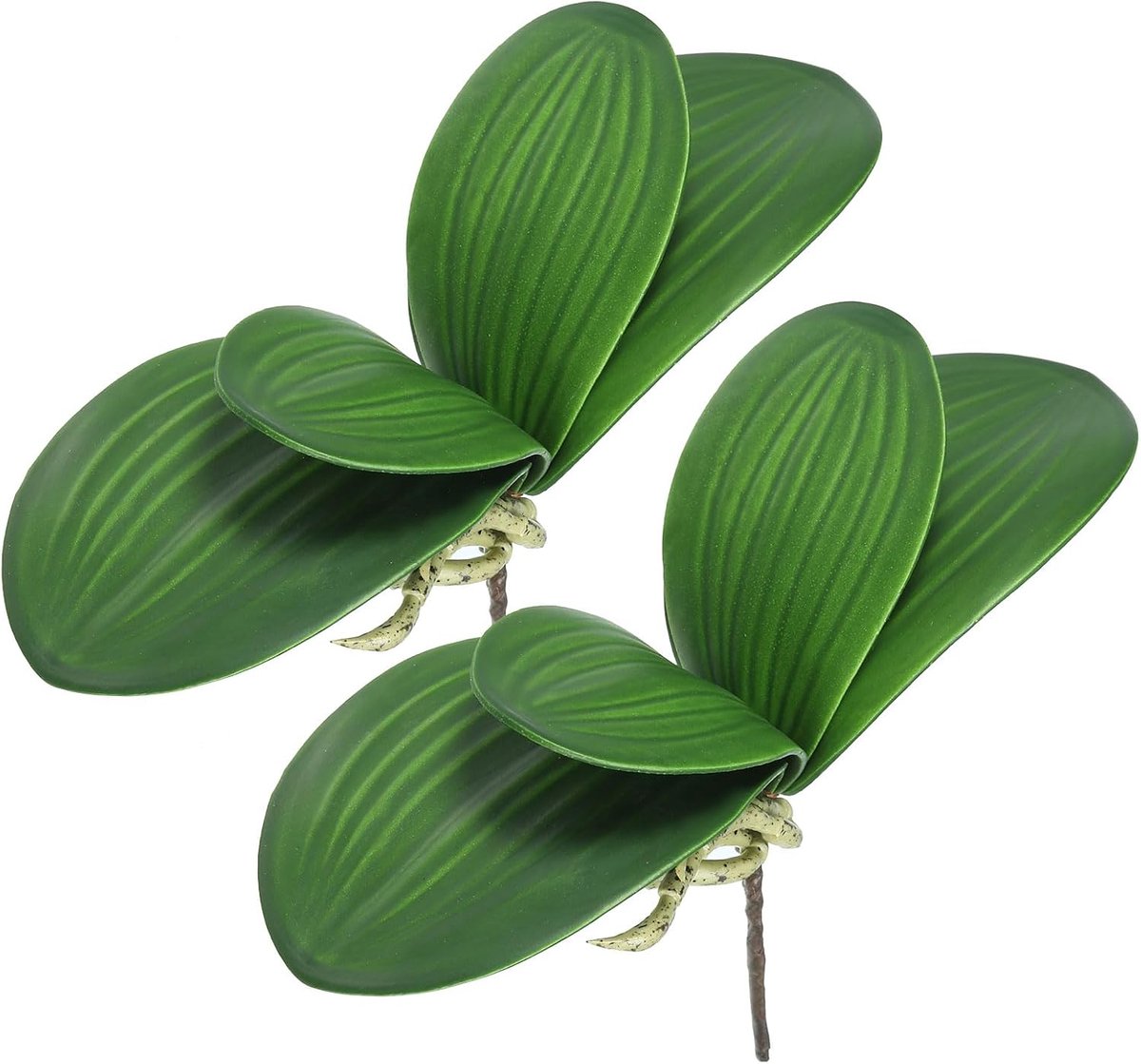 Kunstorchideeënbladeren, 11 cm, 2 stuks kleine kunstplanten, Phalaenopsis, echt groen latex, 4 bladeren met stelen voor het decoreren van vazen, bloemen, thuis, groen