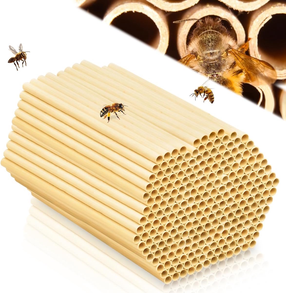 Set van 300 Tarwestro Vulbuizen voor Hotel met wilde insecten en bijen, 15 cm lang