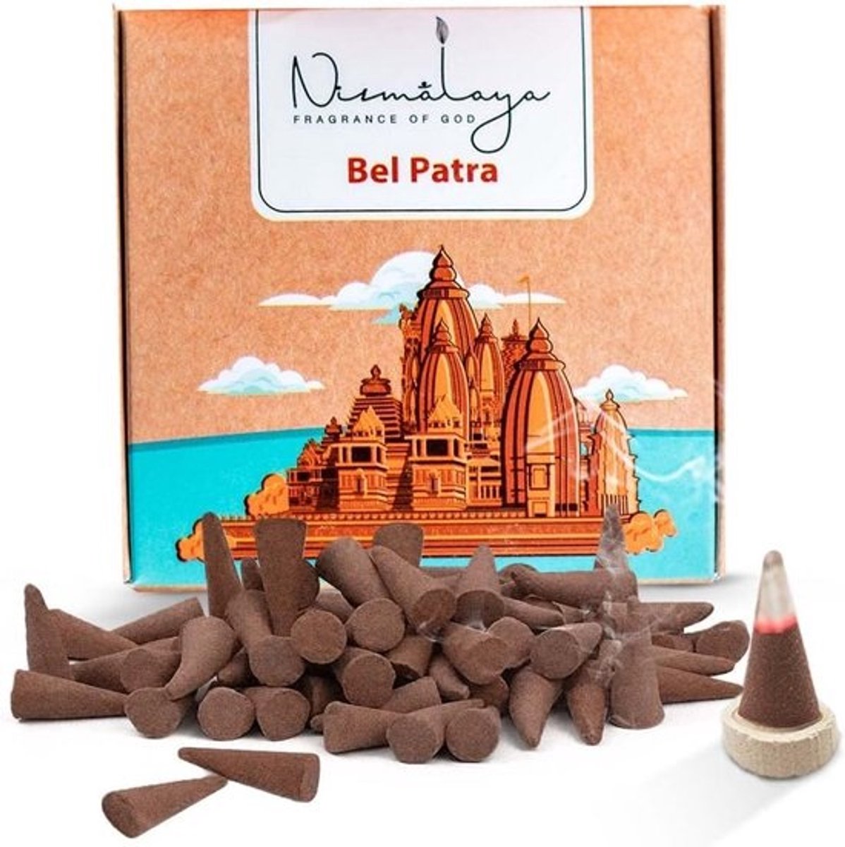 Pooja Wierook Kegels (40 stuks) | Biologische Dhoop Cones van Gerecyclede Bloemen