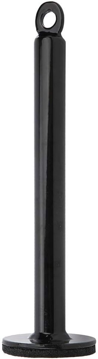 Fitness Barbell Support Frame Roestvrijstalen Freeweight Bar Laadpin Barbell Plate Loader(20x220mm)