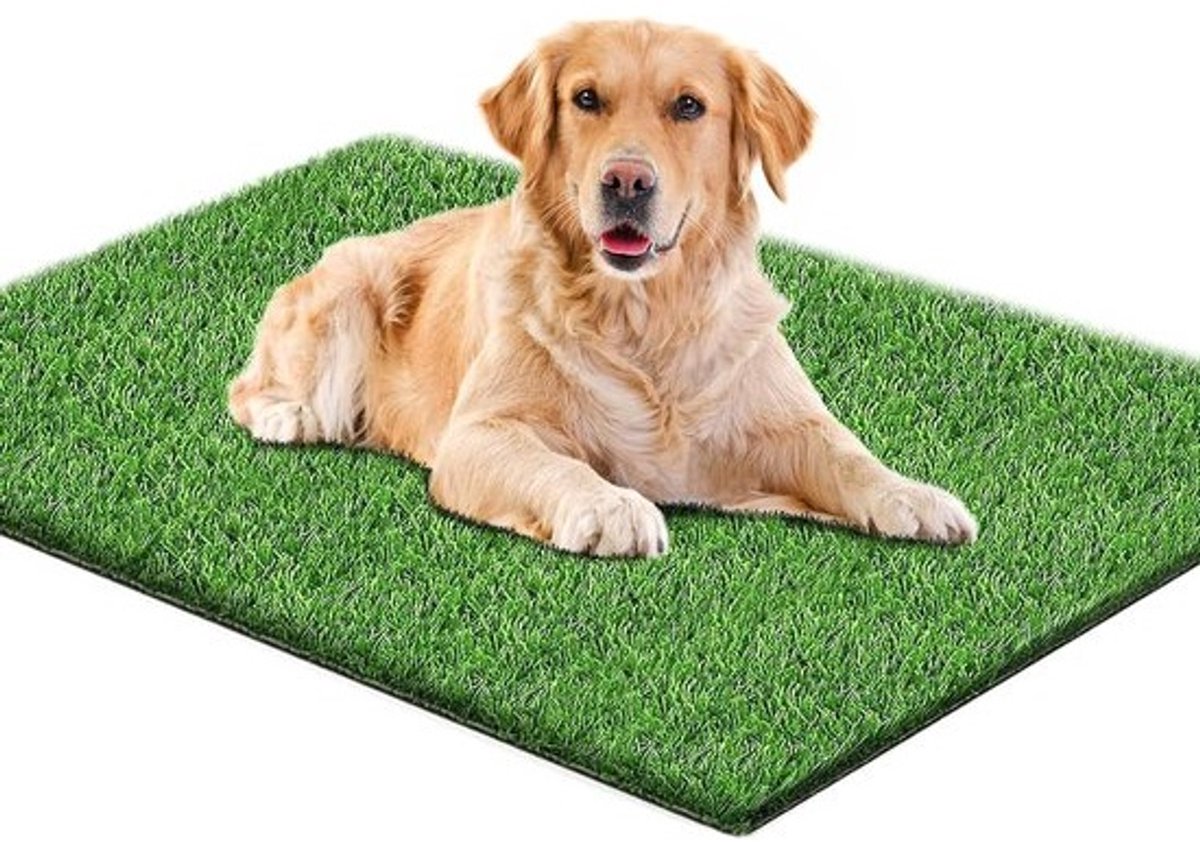 Hondentoilet kunstgras - Zindelijkheidstraining hond - Geurafstotend - Hondentrainer