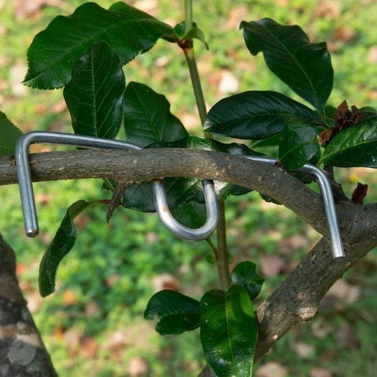30 Stuks Herbruikbare Takkenvormers voor Fruitbomen - Takken Spreiden en Bouwen van Sterke Takken voor Optimale Groei — afbeelding 2