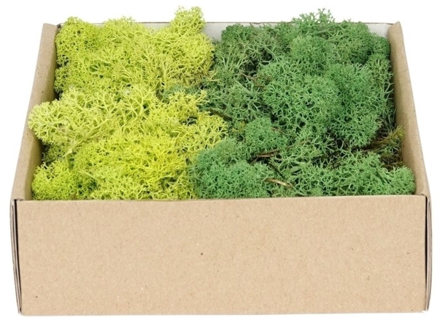 My Village | Rendiermos Mix Donkergroen – Groen | 250 g