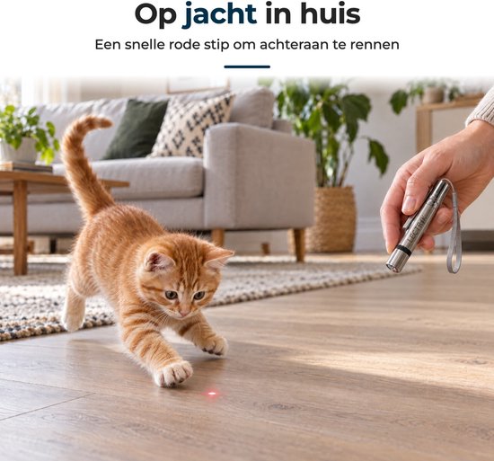 Een oranje kat jaagt achter een rode laserstip aan in een woonkamer, bediend met een zilveren LECTRIK laserpen.