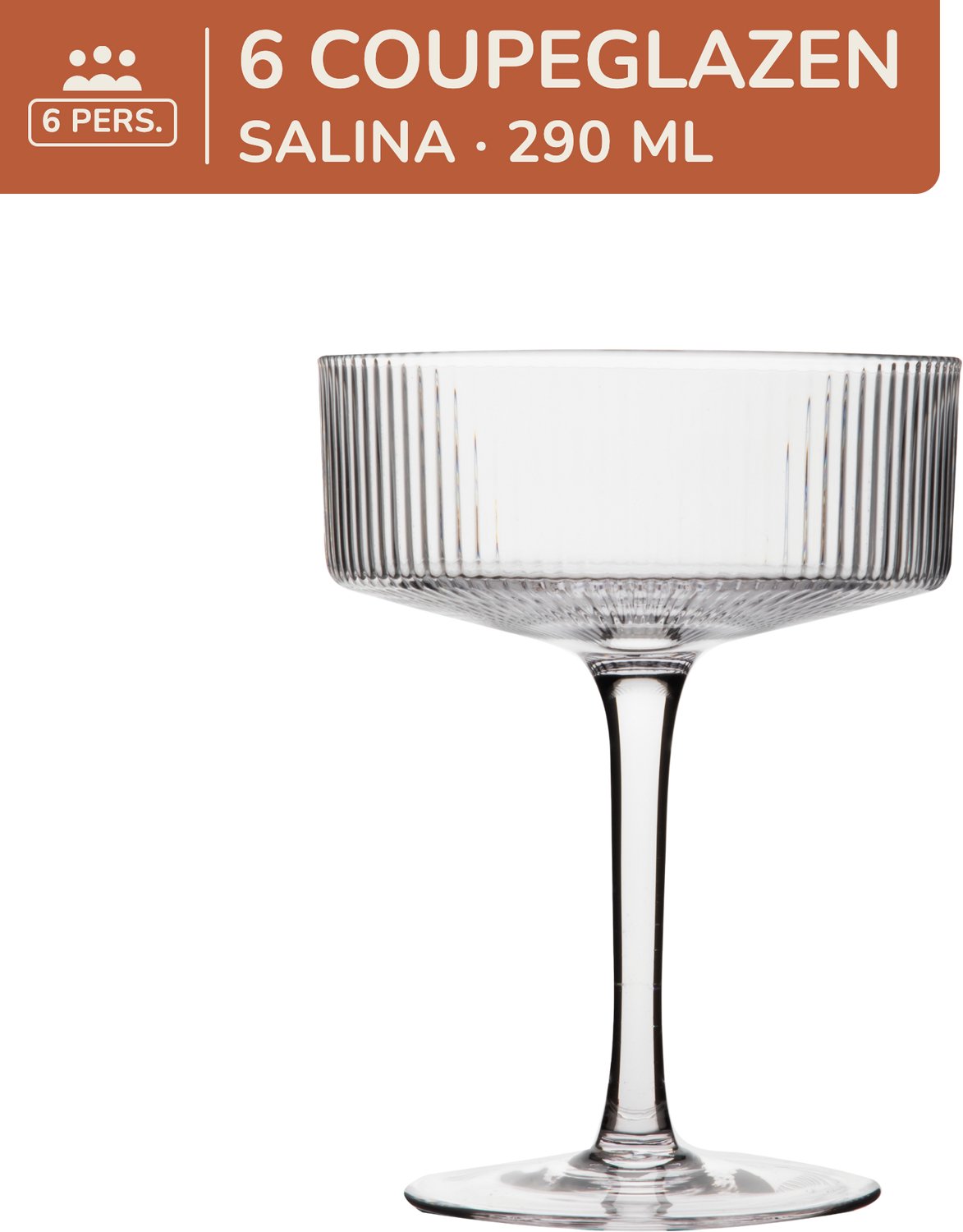 Set van 6 champagneglazen coupe - cocktailglazen - 290 ml - 6 persoons - glas - Salina - Kade 171 glazen - hip en trendy