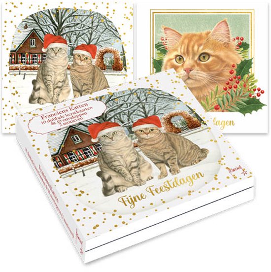 Doos met 10 kerstkaarten met illustraties van katten met kerstmutsen in de sneeuw en tussen hulst, tekst Fijne Feestdagen.