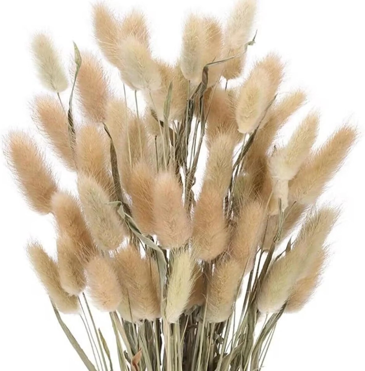 Gedroogd, boeket met 120 stuks, natuurlijk decoratief gras voor bloemstukken en decoraties (primaire)