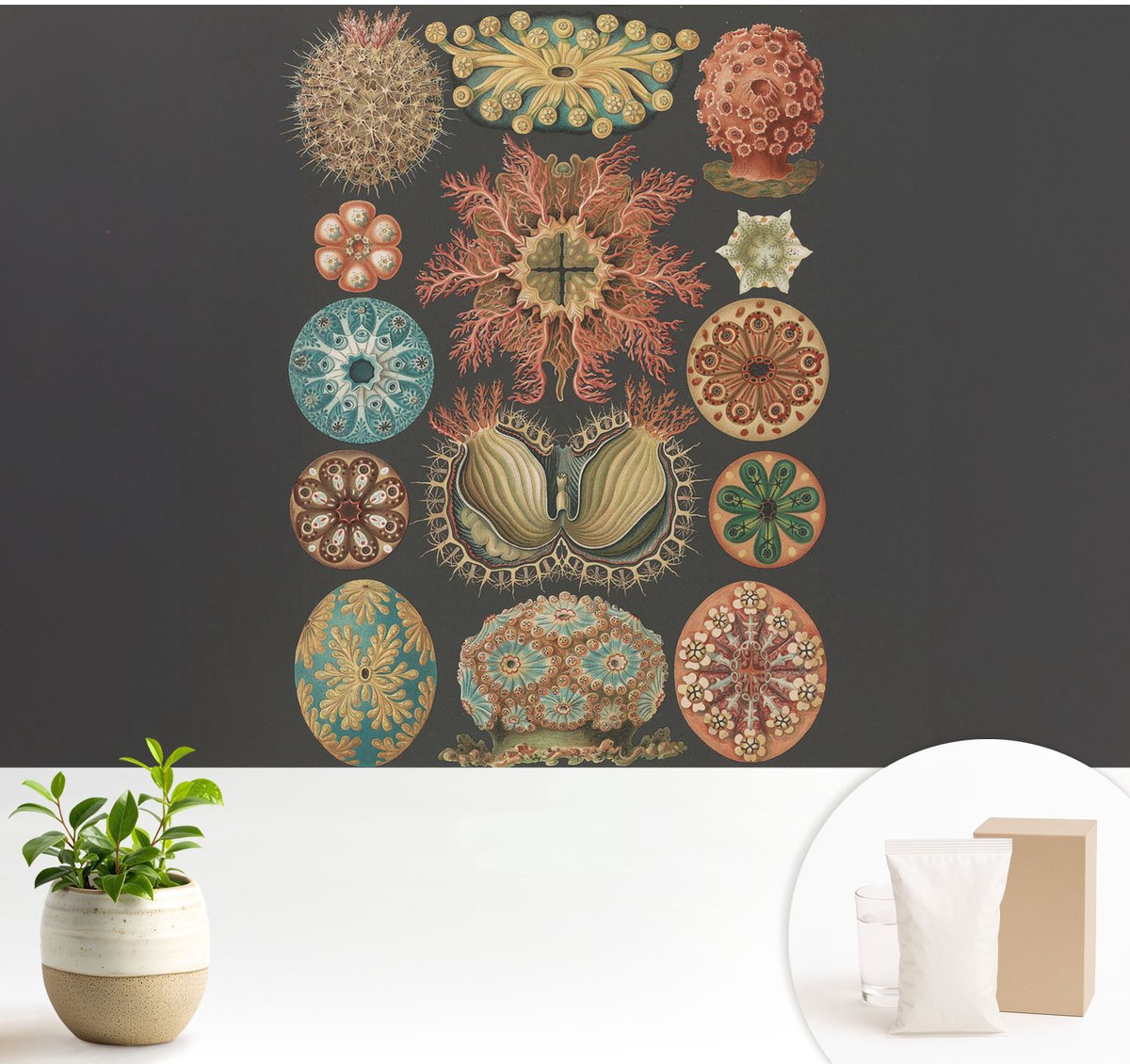Wallfluent Fotobehang - Zwart Vliesbehang - 104x70 cm - Inspiratie Uit De Zee Fotobehang Vlies - Woonkamer behang Deel - Muurschildering - Woonkamer behang