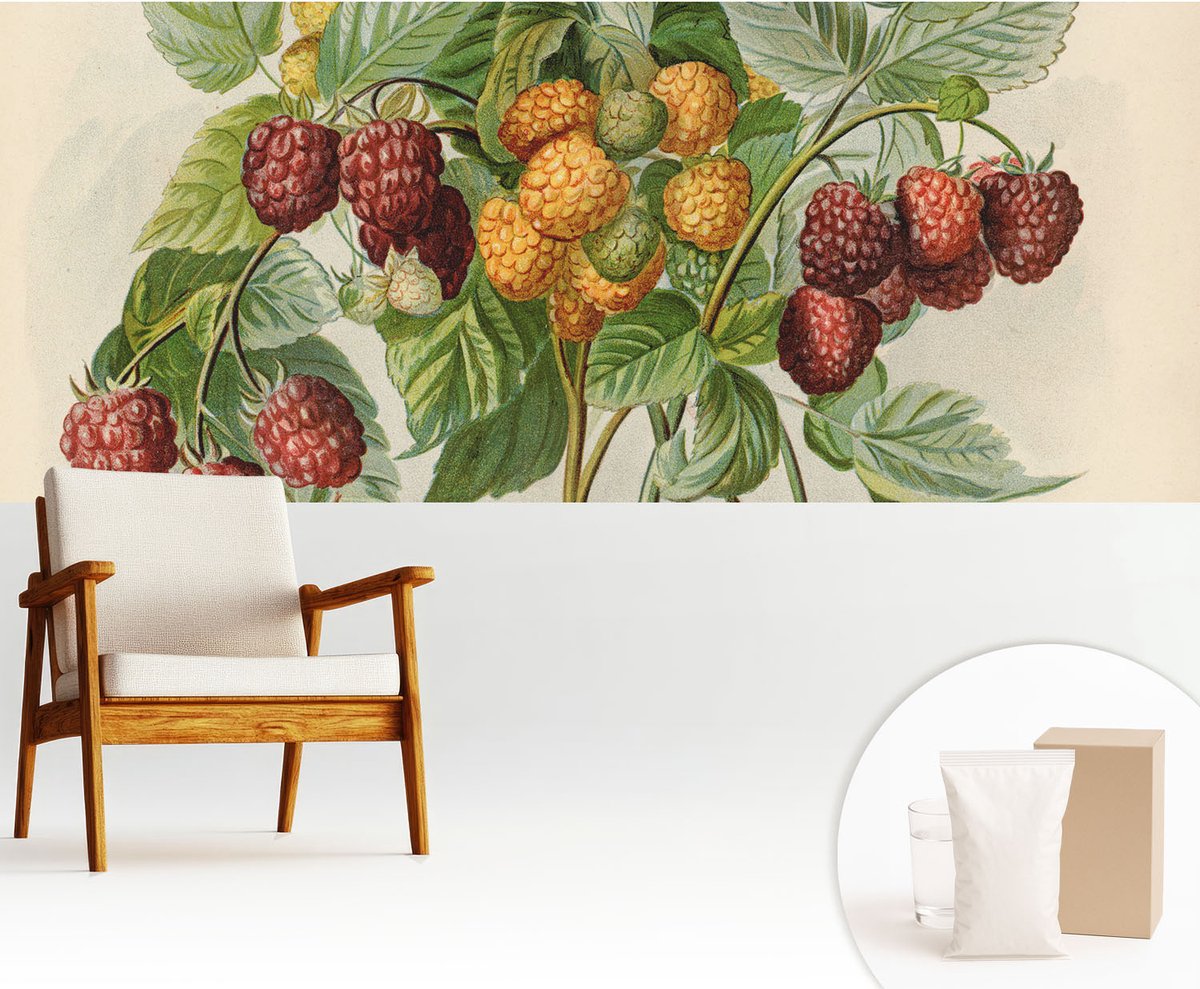 Wallfluent Fotobehang - Groente Vliesbehang - 250x104 cm - Klassieke Frambozen Fotobehang Vlies - Woonkamer behang Bloemen En Planten - Muurschildering - Woonkamer behang