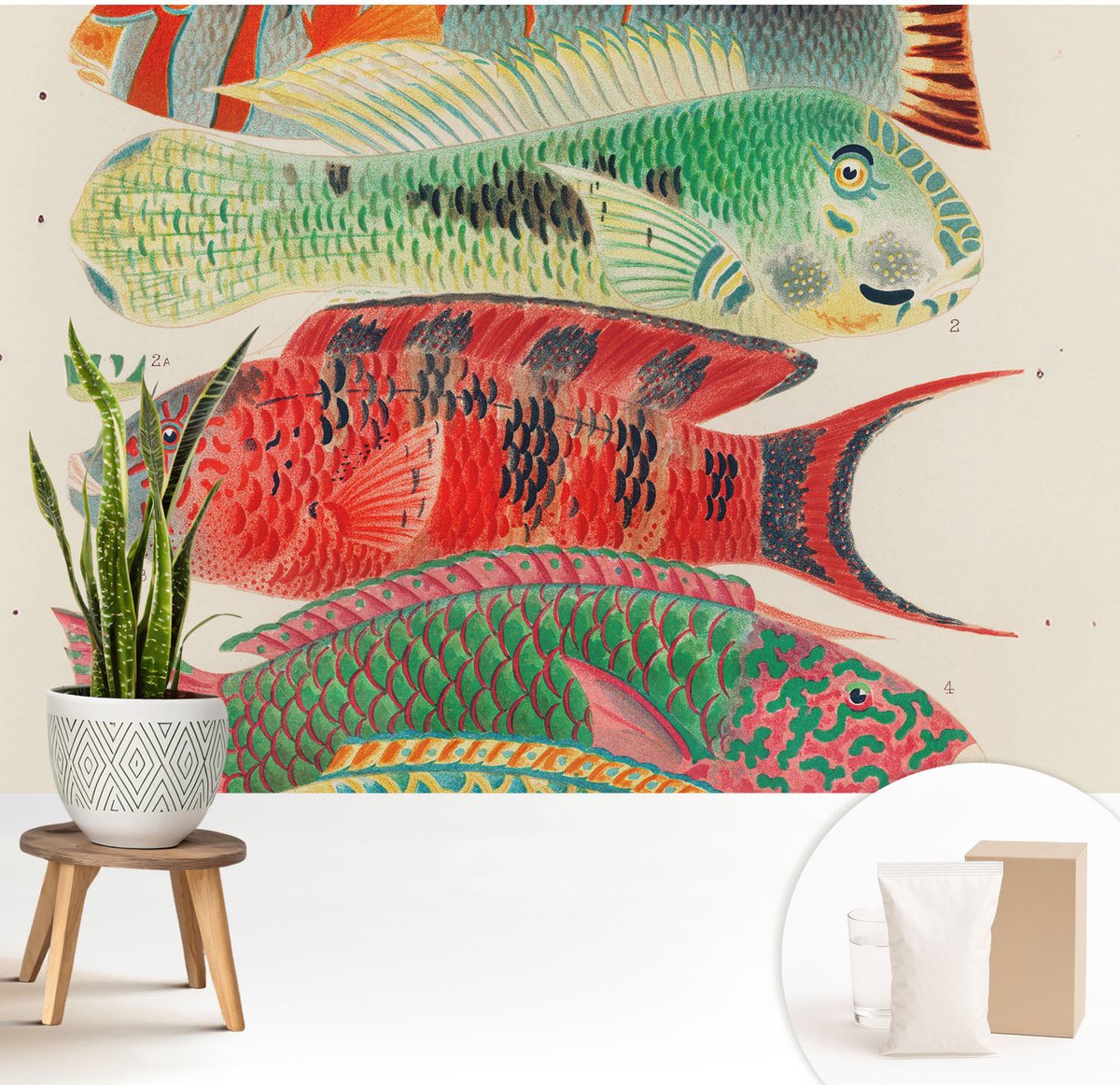 Wallfluent Fotobehang - Groente Vliesbehang - 208x146 cm - Exotische Vissen Muurschildering - Slaapkamer behang Dieren - Fotobehang Vlies - Gang behang