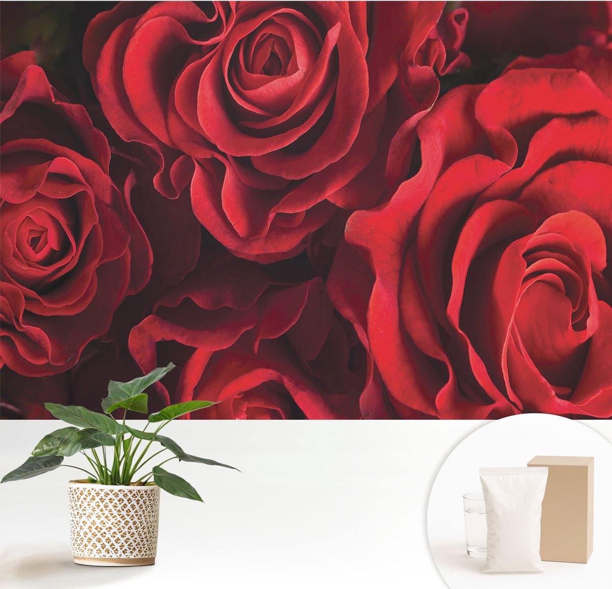 Wallfluent Fotobehang - Rood Vliesbehang - 152x104 cm - Rode Rozen Muurschildering - Gang behang Bloemen En Planten - Fotobehang Vlies - Gang behang
