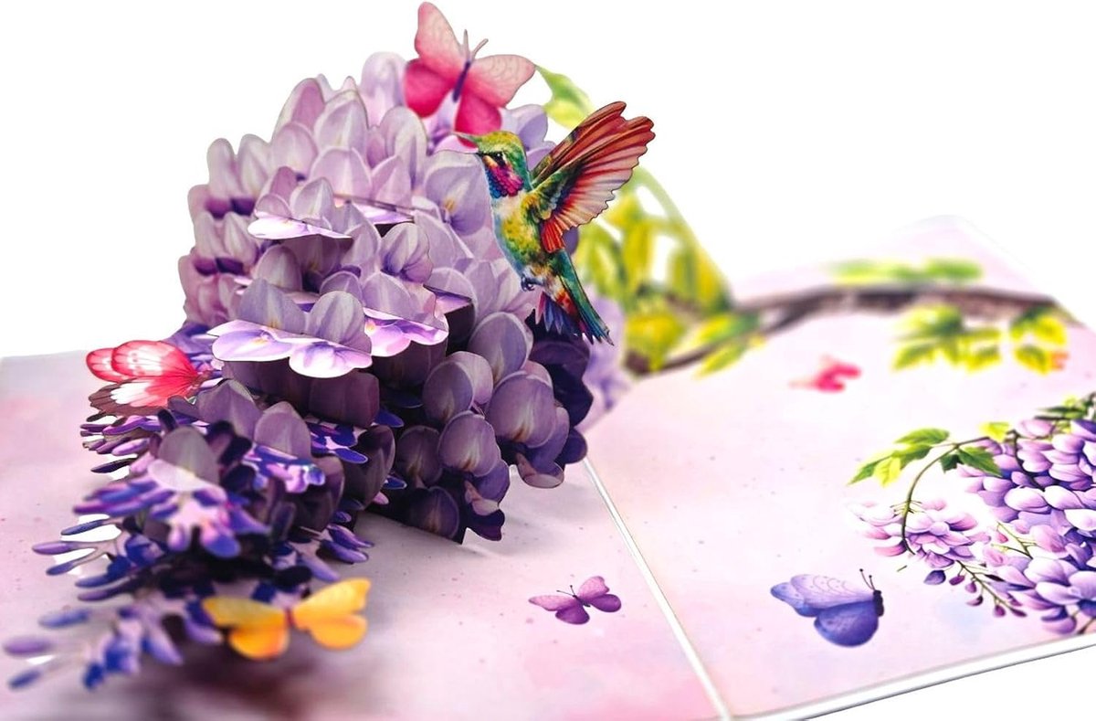 3D pop-up kaart kolibrie en blauweregen – uitklapbare kaart met vlinders, 15 x 20 cm gesloten, 30 x 20 cm geopend, 11 cm 3D-effect, inclusief witte envelop, cadeau voor verjaardag, Moederdag en