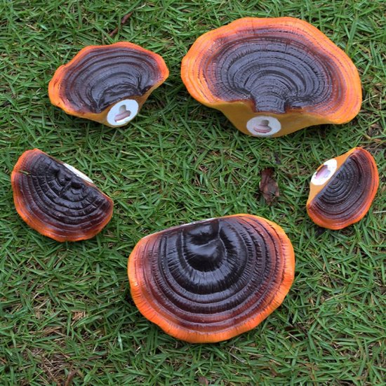 Paddenstoel Hangende Decoratieset, Levensechte Wandplanken voor Tuin met Landelijke Smaak — afbeelding 5