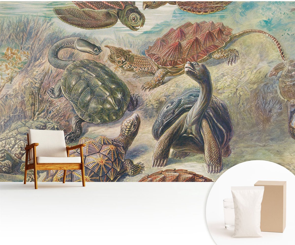 Wallfluent Fotobehang - Groente Vliesbehang - 416x254 cm - Schildpadfauna Muurschildering - Slaapkamer behang Dieren - Fotobehang Vlies - Slaapkamer behang