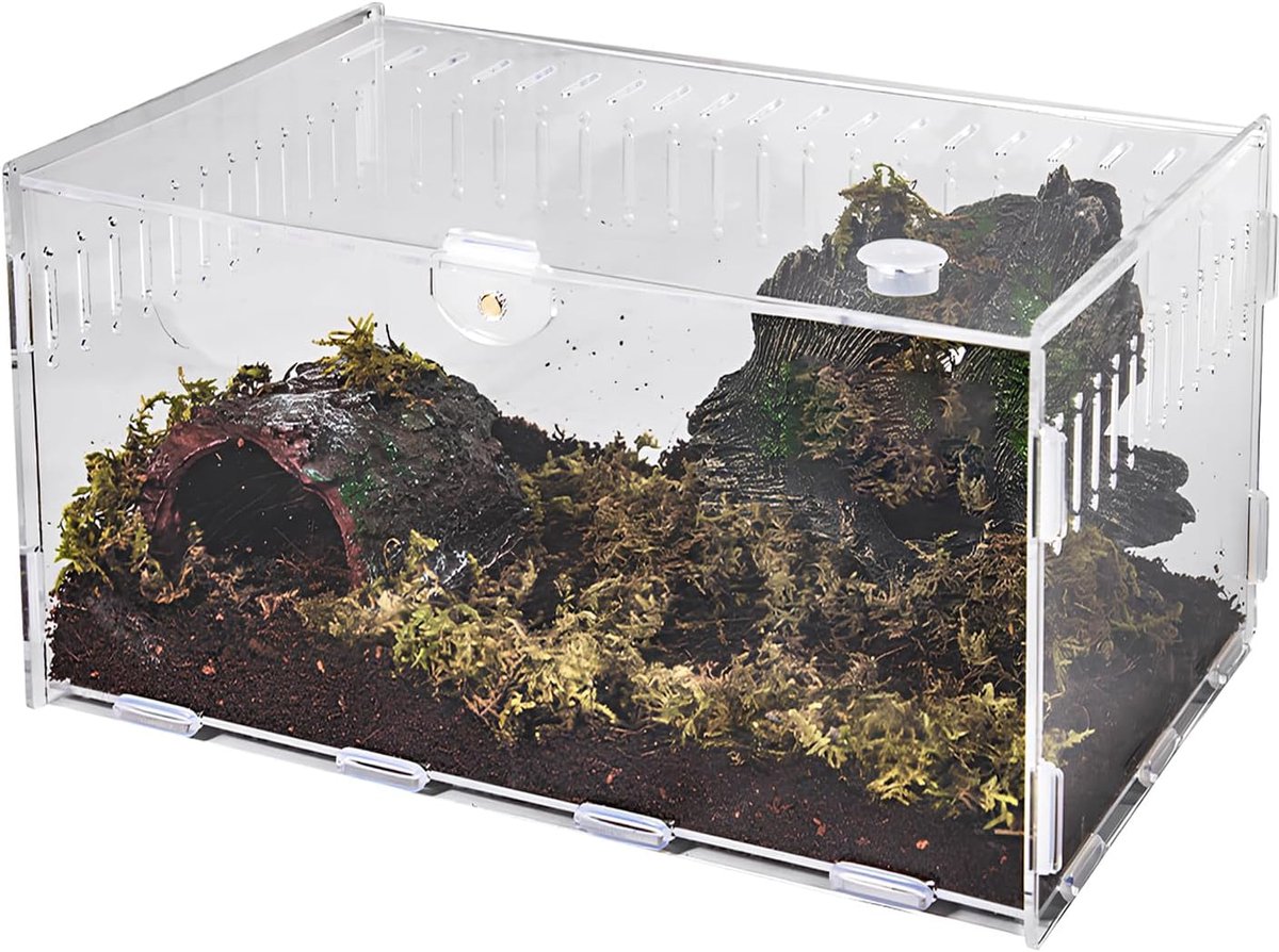 SnelShoppen - Terrarium voor Slakken en Hagedissen, Transparante Acryl Insectenbak, Compact 30x20x15 cm, Ideaal voor Reptielen, Amfibieën, Kikkers, Sc