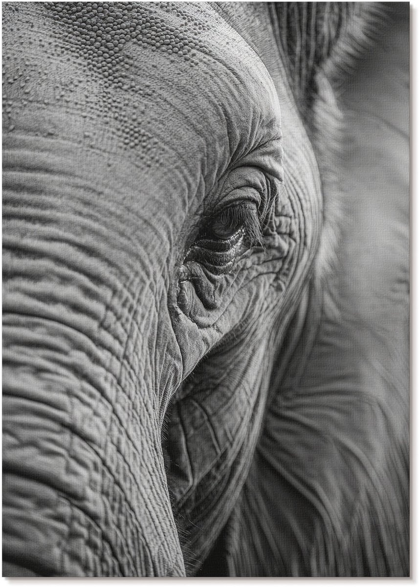 Tulup Canvas Poster Polycanvas - Houtsnede, Blauw - A4 - Zwart-wit Poster - Rechthoek - Decoratieve poster - Kantoor - Klassiek