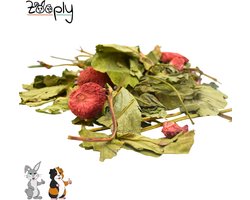 Zooply Aardbeienplant - Kruiden & Snacks - 100% natuurlijk - Voor konijnen & cavia's - 250 gram