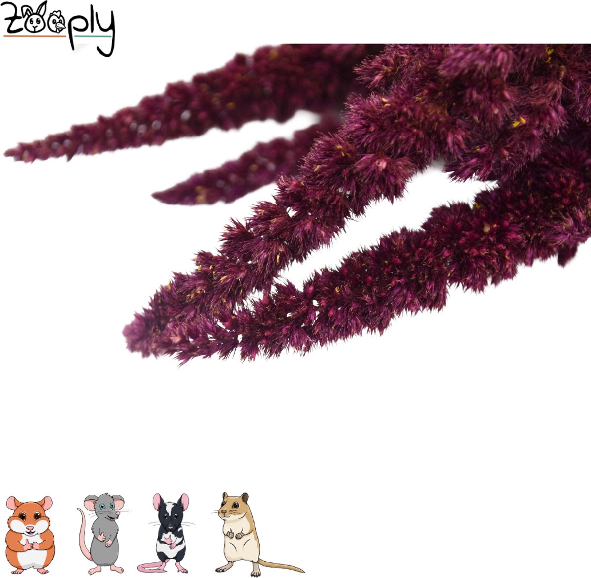 Zooply Amarant - Rood - 70 gram - in koker
