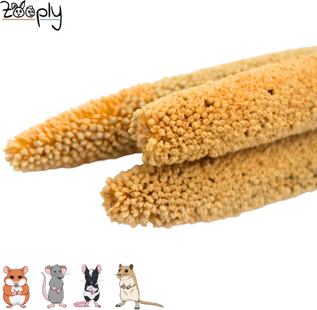 Zooply Babala - 5 stuks - in koker