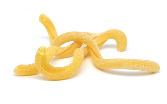 POM Fusilli Calabresi Matrijs voor Philips Pastamaker — afbeelding 4
