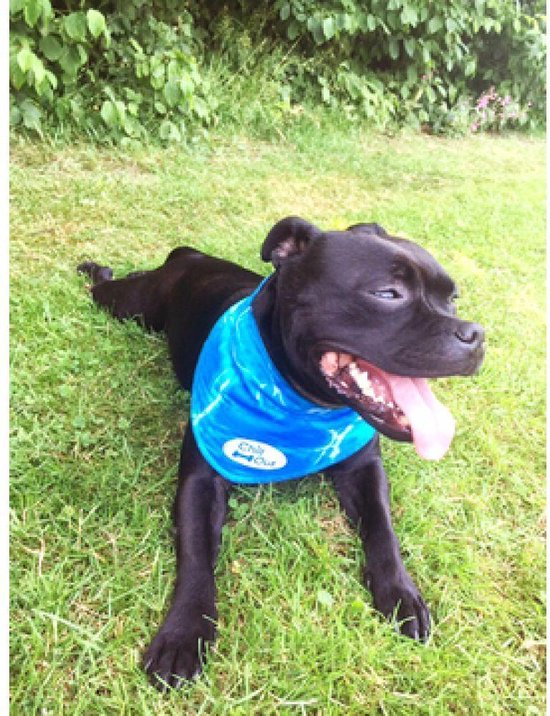 afp chill out bandana