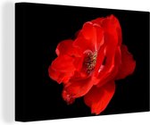 Vue latérale d'une pivoine rouge sur fond noir Toile 30x20 cm - petite - Tirage photo sur Toile (Décoration murale salon / chambre) / Peintures Fleurs sur toile
