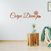 Muursticker Carpe Diem -  Bruin -  120 x 35 cm  -  woonkamer  slaapkamer  alle - Muursticker4Sale