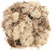 Decoratie mos naturel 100 gram - Hobby en knutselen decoratie artikelen