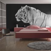 Fotobehang – Behangpapier - Fotobehang - Witte tijger 200x154 - Artgeist