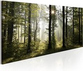 Schilderijen Op Canvas - Schilderij - Beautiful Morning 70x35 - Artgeist Schilderij