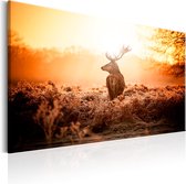 Schilderijen Op Canvas - Schilderij - Deer in the Sun 90x60 - Artgeist Schilderij