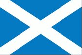 Vlag Schotland 70x100cm - Spunpoly
