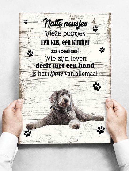 Assiette murale chien: Labradoodl gris - 30 x 42 cm