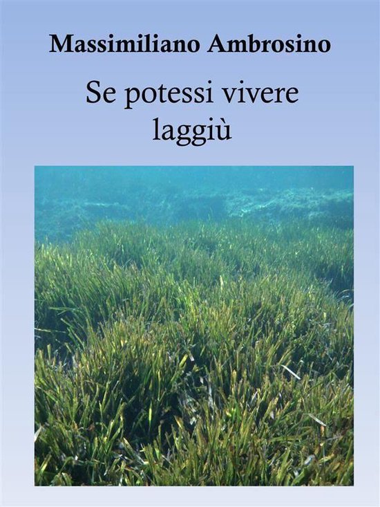 Se potessi vivere laggiù - cover