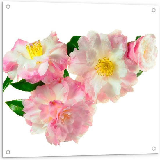 Tuinposter – Roze Bloemetjes op Witte Achtergrond - 80x80cm Foto op Tuinposter  (wanddecoratie voor buiten en binnen)