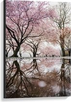 Canvas  - Bos met Mooie Bomen met Roze Bloesem - 60x90cm Foto op Canvas Schilderij (Wanddecoratie op Canvas)