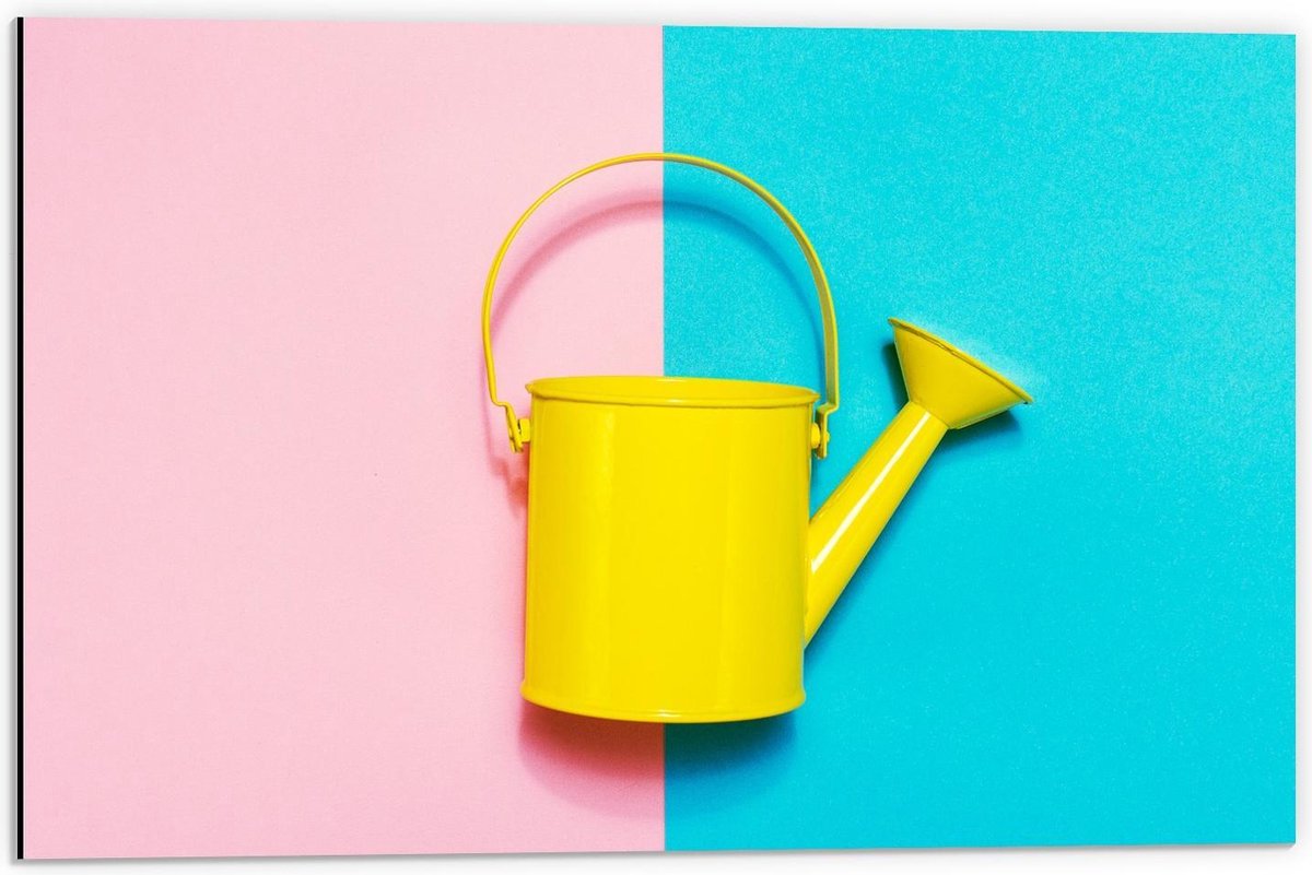 Dibond - Gele Gieter op Blauw/Roze Vakken - 60x40cm Foto op Aluminium (Met Ophangsysteem)