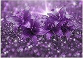 Fotobehang - Masterpiece of Purple 100x70cm - Vliesbehang