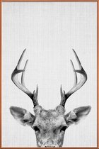JUNIQE - Poster met kunststof lijst Rendier zwart-wit foto -30x45 /Wit