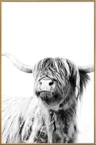 JUNIQE - Poster met kunststof lijst Highland Cattle Frida 2 -13x18