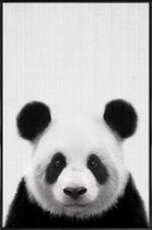 JUNIQE - Poster in kunststof lijst Panda zwart-wit foto -40x60 /Grijs