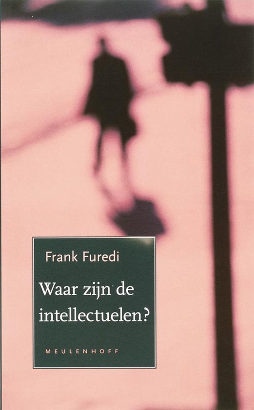 Cover van het boek 'Waar zijn alle intellectuelen ?' van Frank Furedi