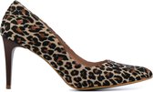 Giulia Dames Leren Panterprint Pumps / Stiletto - Naaldhak hoogte 9 cm - Giulia 8 sue - Multicolor - Maat 39