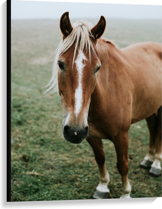 Canvas  - Bruin Paard in Mistig Grasveld - 75x100cm Foto op Canvas Schilderij (Wanddecoratie op Canvas)